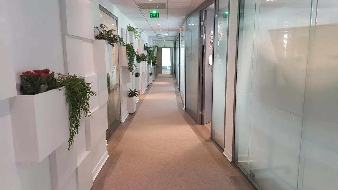 Circulation de bureaux avec jardinières murales et cloisons vitrées dépolies